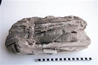 1145.5.jpg; 1145; bouwfragmenten met gewaadplooien; sculptuur