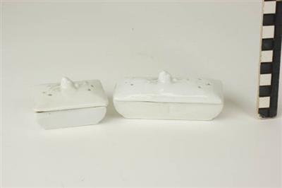 1981-0172.jpg; 1981-0172; ;