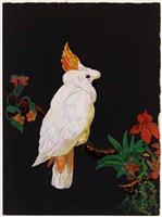 3366-2.jpg; 3366; Twee kakatoes in bonte kleuren; gouache