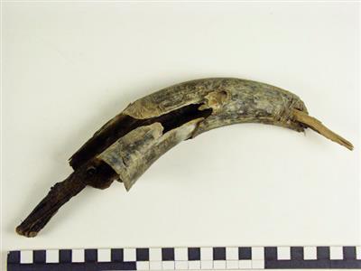 H2004-516.jpg; H2004-0516; ;