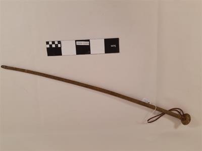 f8a1fc4d-19db-4445-88db-94369839c3d1.jpeg; S2021-0202; ;