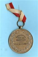 H1985-0036_kz.jpg; H1985-0036; Gedenkpenning aan lint van bestuur Wijkverpleging aan vereniging van Nijveren; gedenkpenning